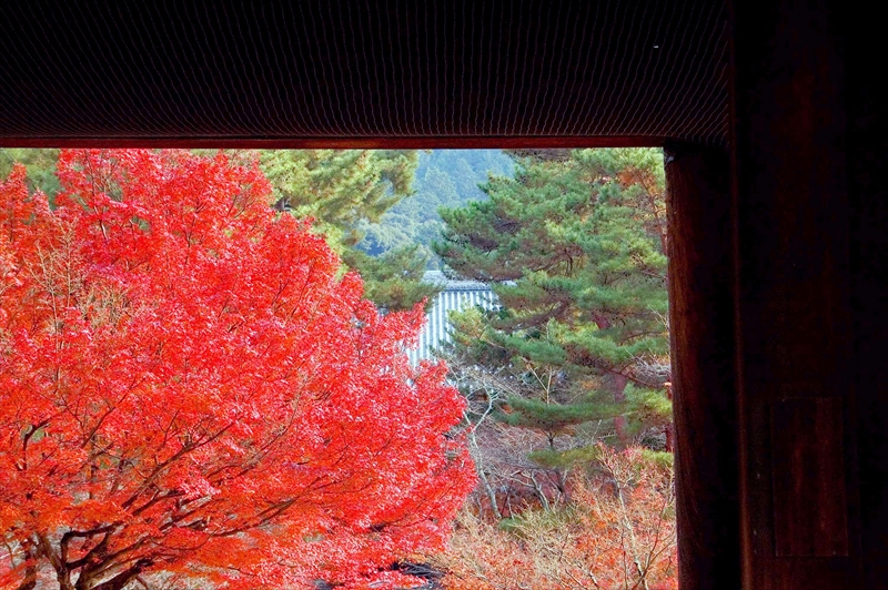 1087_洛東 南禅寺_京都