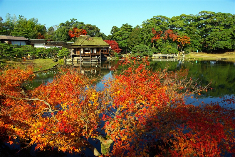 1003_玄宮園_滋賀