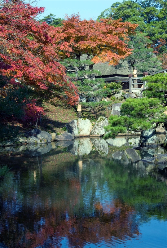 1020_彦根城_滋賀