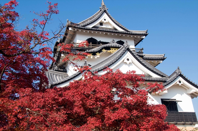 1024_彦根城_滋賀