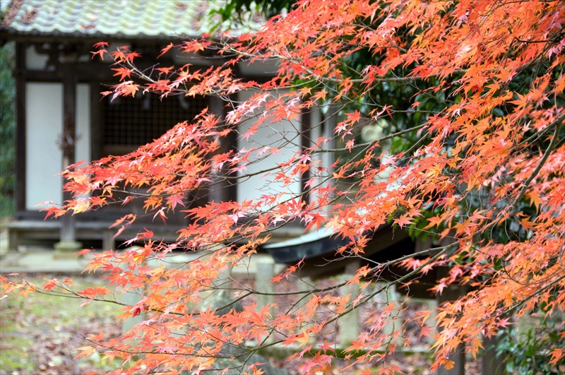 1012_胡宮神社_滋賀