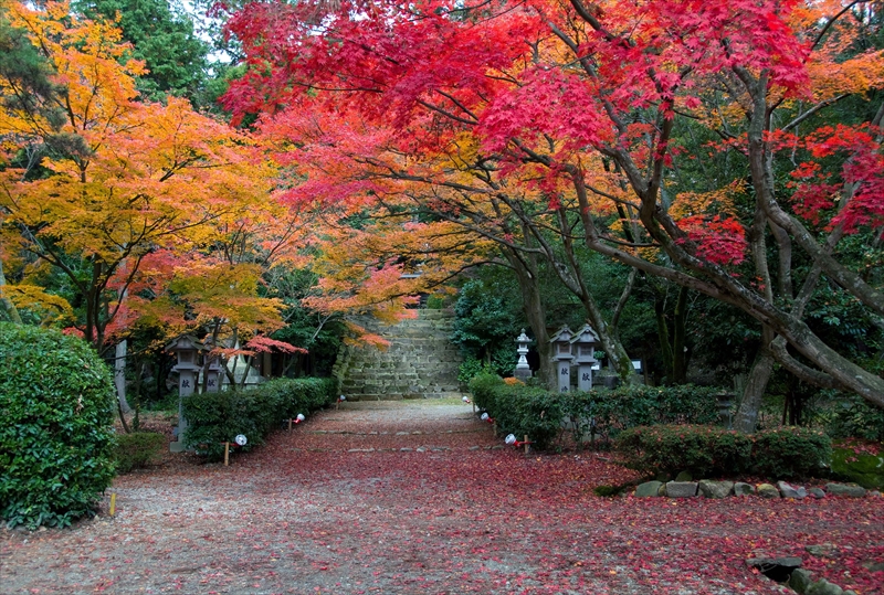 1013_胡宮神社_滋賀