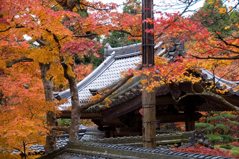 1030_西明寺_滋賀