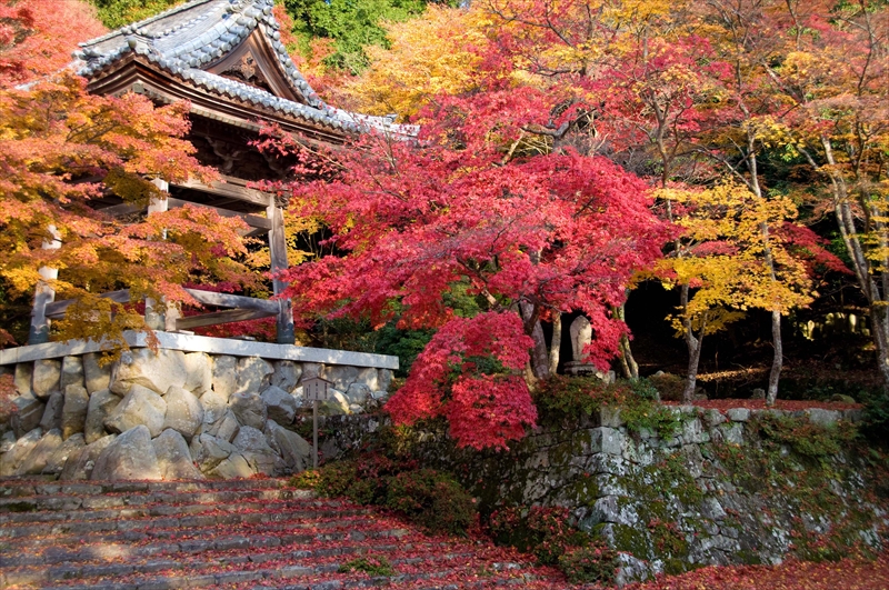 1039_東光寺_滋賀