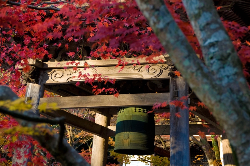 1040_東光寺_滋賀