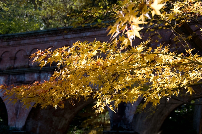 1092_洛東 南禅寺_京都
