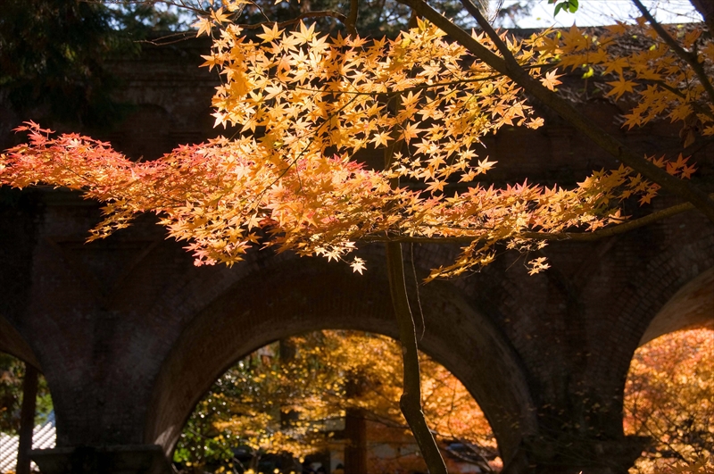 1093_洛東 南禅寺_京都