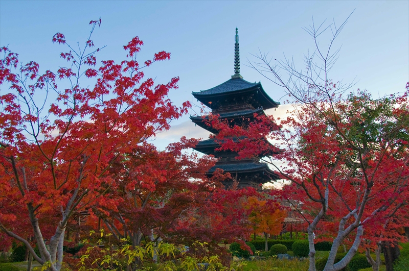 1112_洛中 東寺_京都