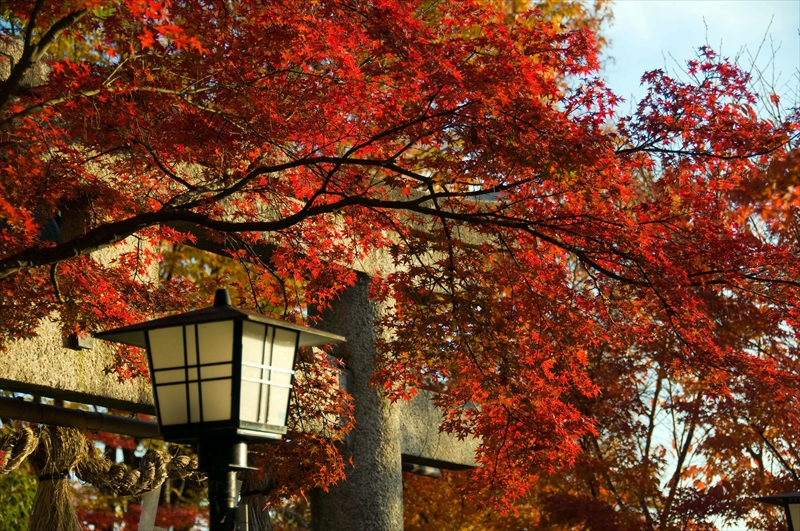 1006_京都 長岡天満宮_京都