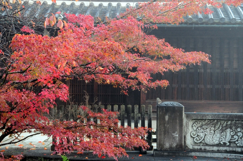 1035_倉敷美観地区_岡山