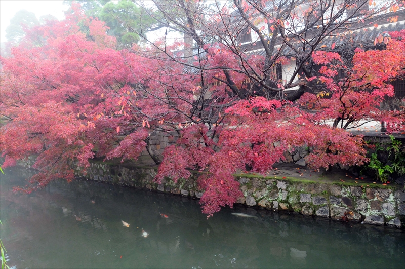 1036_倉敷美観地区_岡山