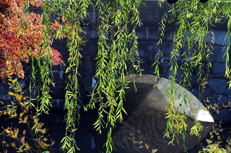 1046_倉敷美観地区_岡山