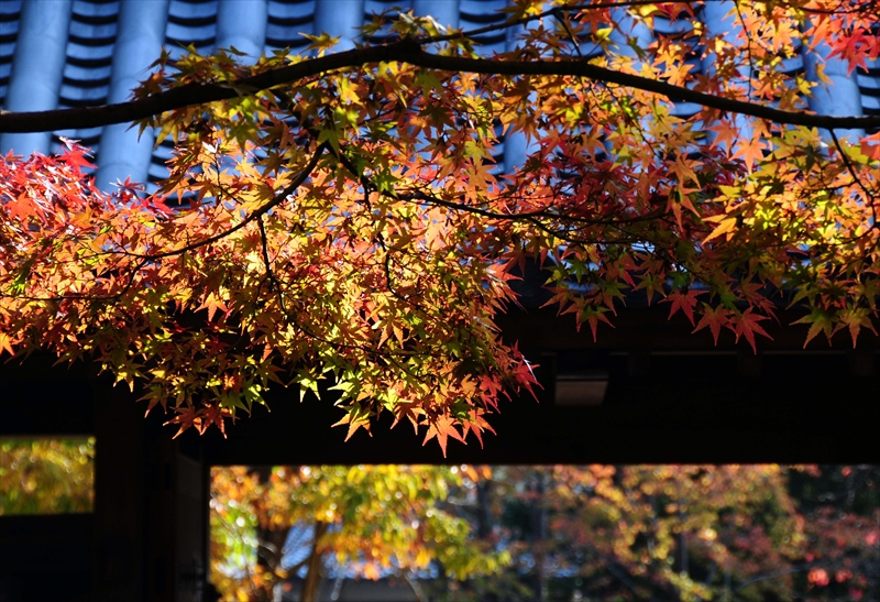 1002_姫路城_兵庫