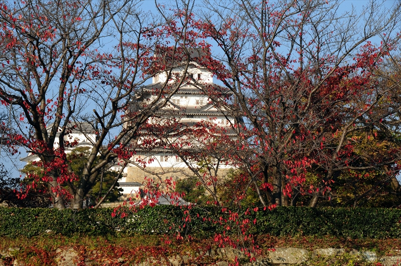 1015_姫路城_兵庫