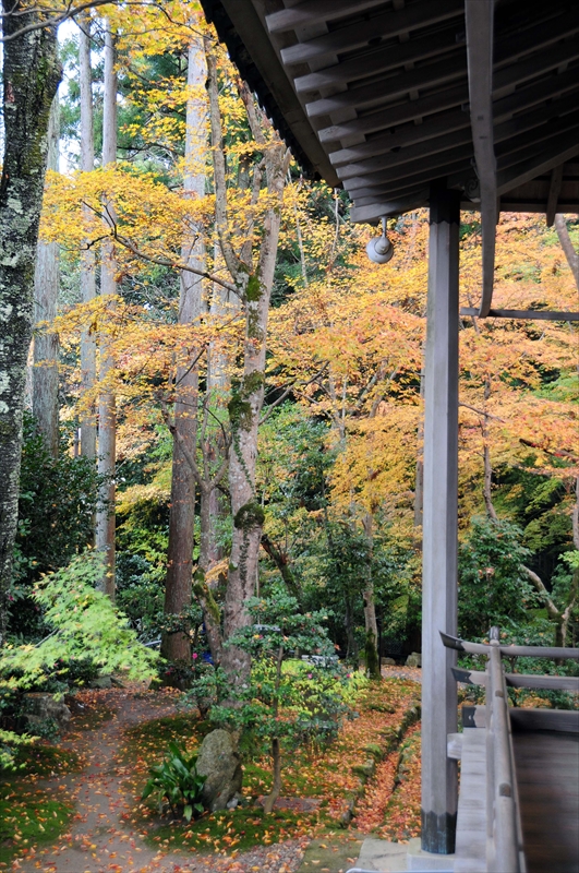 1042_洛北 三千院_京都