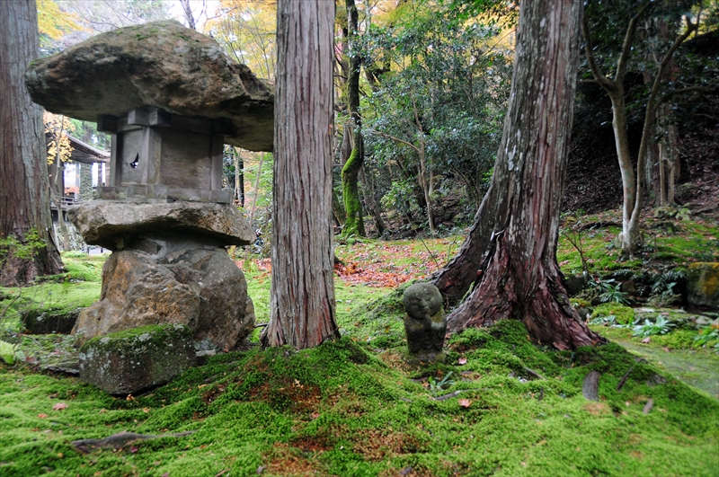 1045_洛北 三千院_京都
