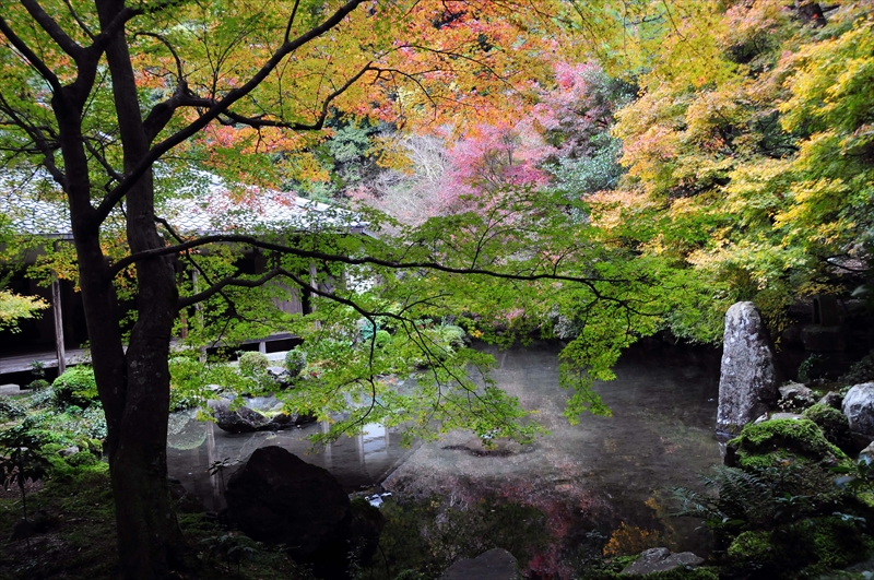 1007_洛北 蓮華寺_京都