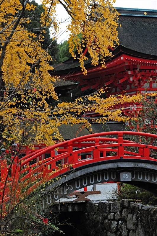 1077_洛北 下賀茂神社_京都