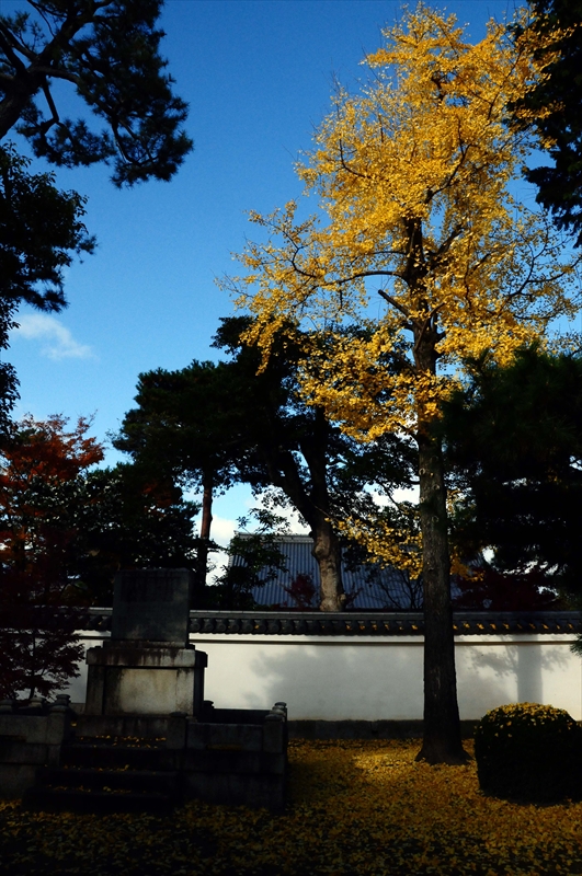 1075_奈良公園_奈良