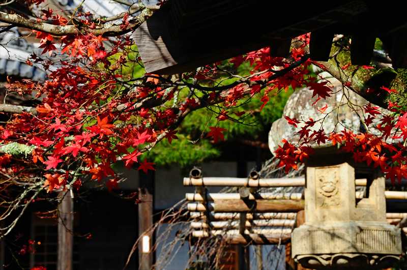 1004_修善寺_静岡