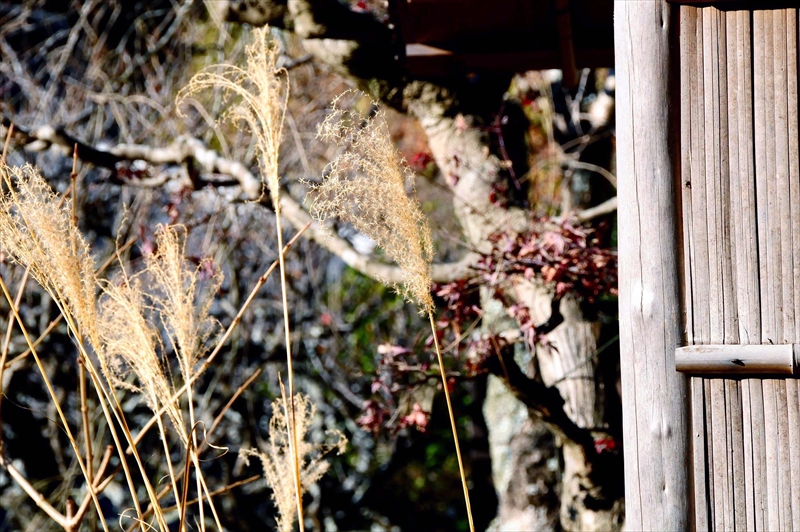 1063_鎌倉円覚寺_神奈川