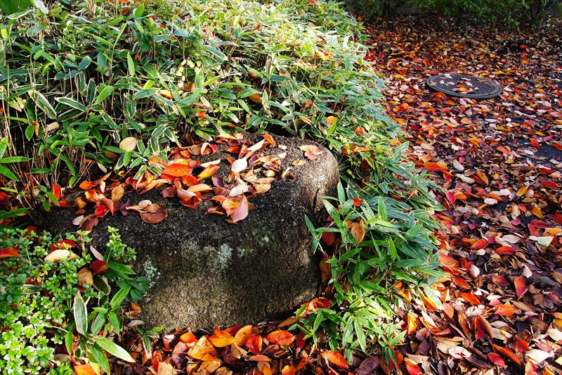 1114_横浜市新羽町_神奈川