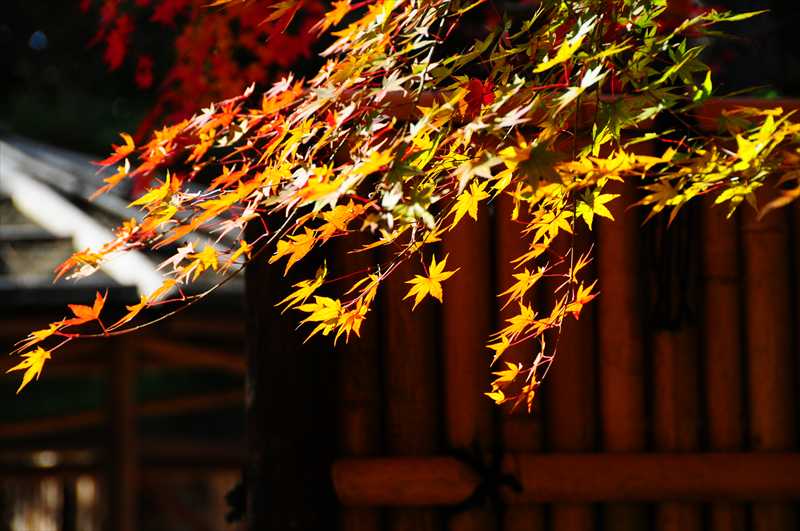 1002_後楽園_岡山