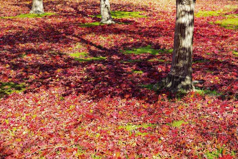 1020_後楽園_岡山