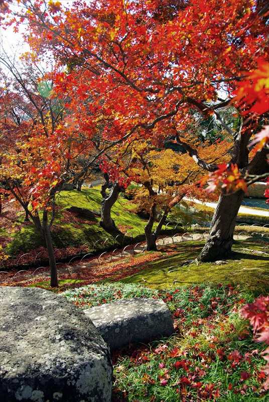 1023_後楽園_岡山