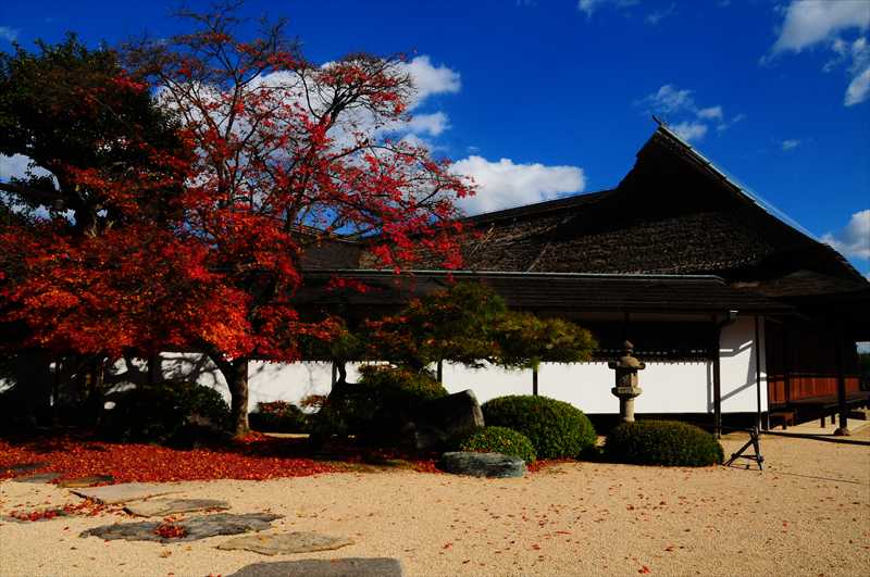 1026_後楽園_岡山