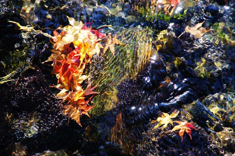 1031_後楽園_岡山