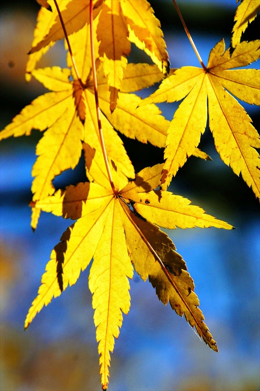 1122_横浜市新羽町_神奈川