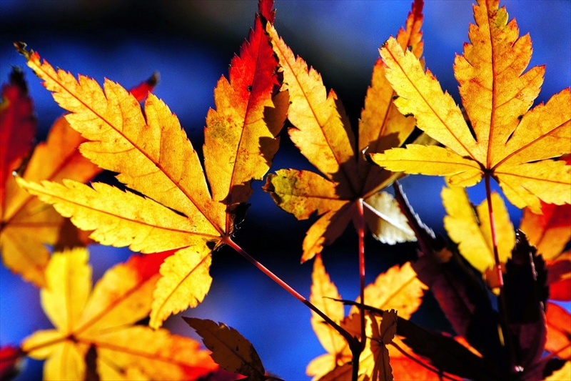 1124_横浜市新羽町_神奈川