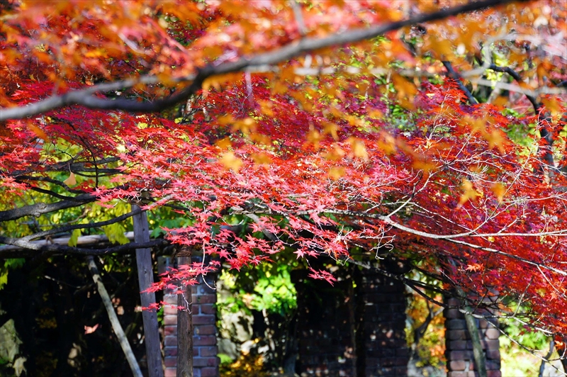 1023_京都 大山崎山荘_京都