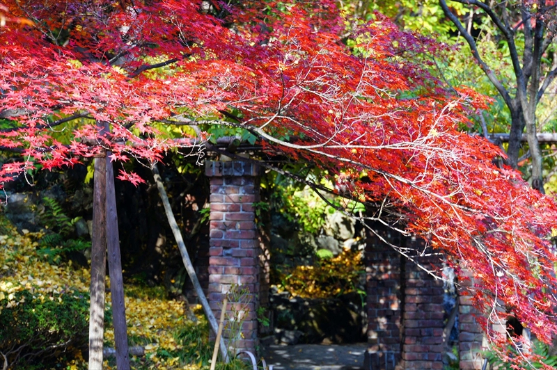 1024_京都 大山崎山荘_京都