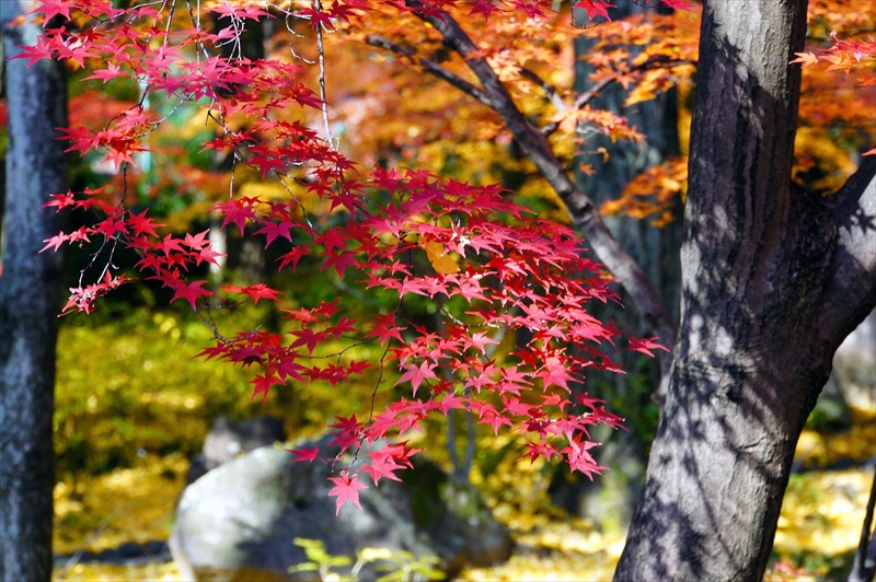 1026_京都 大山崎山荘_京都