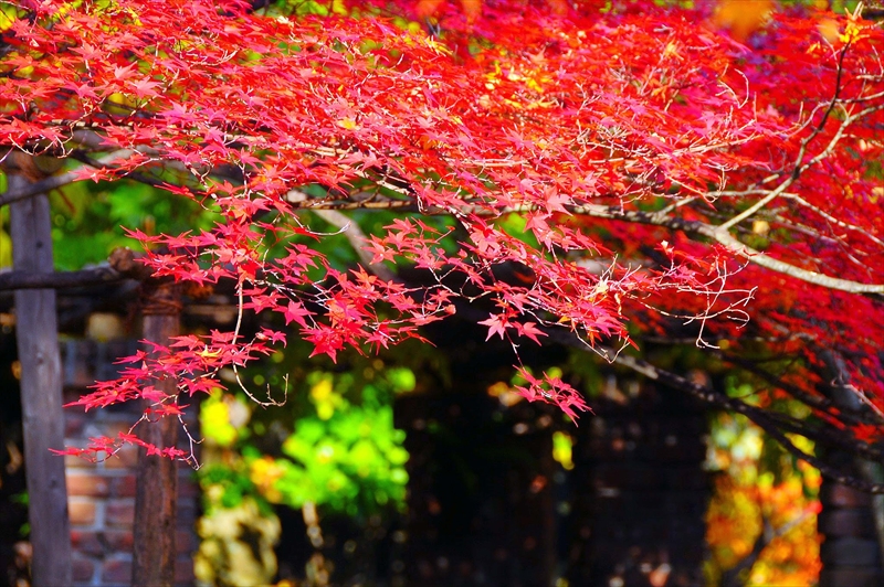 1027_京都 大山崎山荘_京都