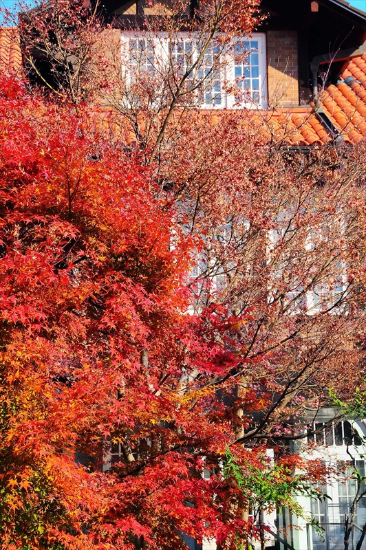 1030_京都 大山崎山荘_京都