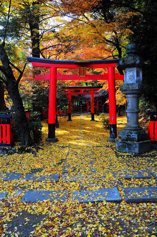 1009_京都 観音寺(山崎聖天)_京都