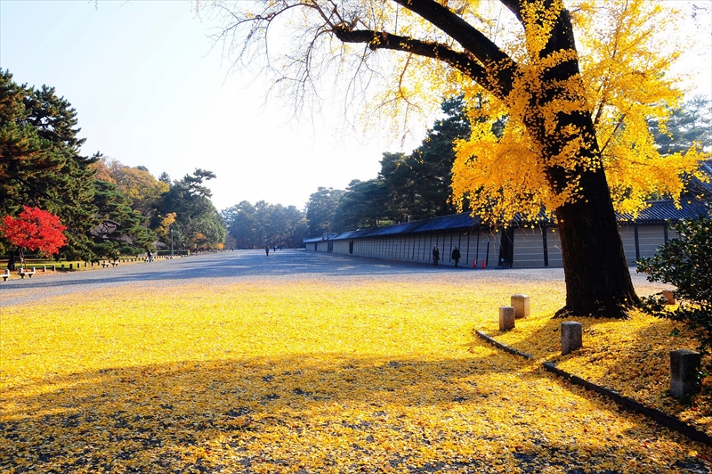 1027_洛中 京都御苑_京都