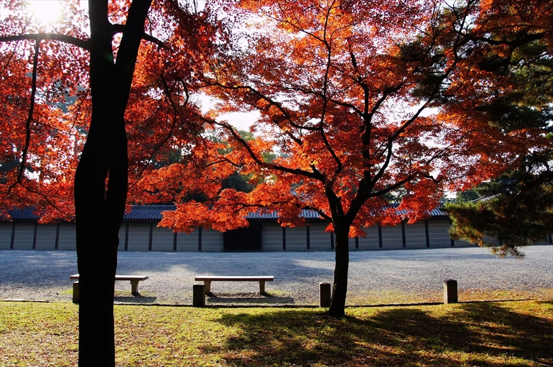 1029_洛中 京都御苑_京都