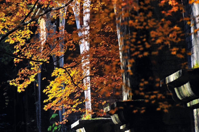 1110_洛東 南禅寺_京都