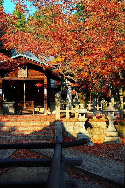 1187_洛東 竹中稲荷神社_京都
