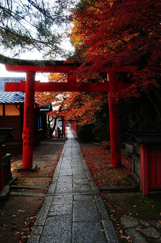 1191_洛東 竹中稲荷神社_京都