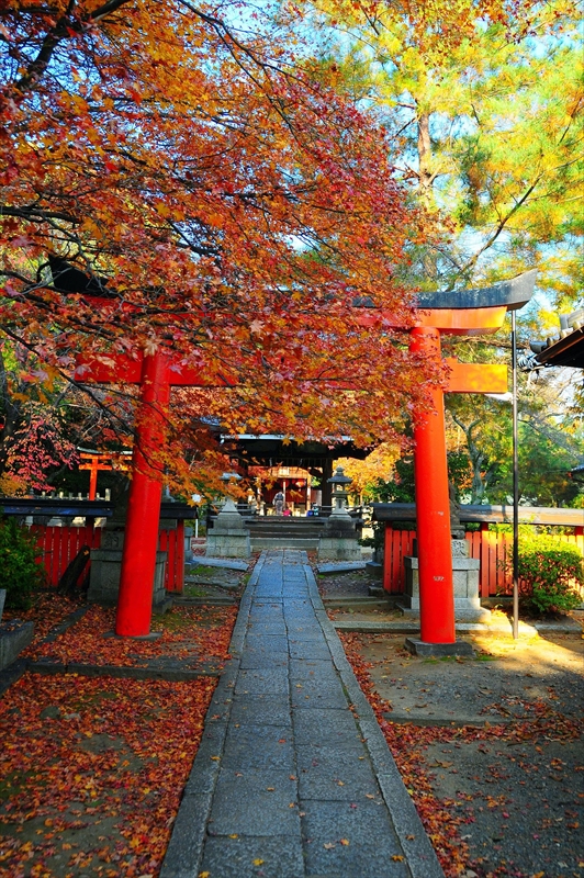 1192_洛東 竹中稲荷神社_京都