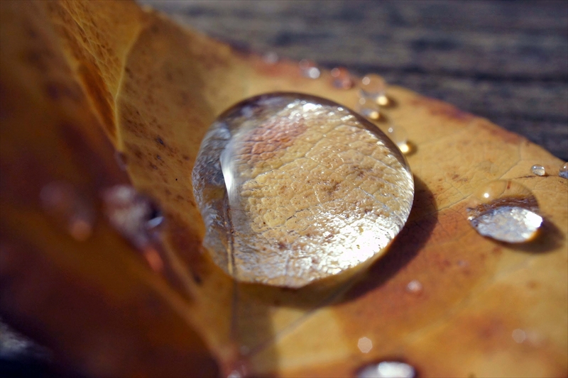 1130_横浜市新羽町_神奈川