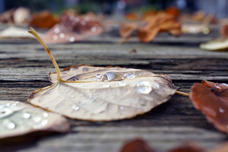 1131_横浜市新羽町_神奈川