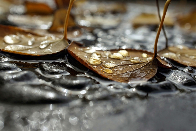 1135_横浜市新羽町_神奈川