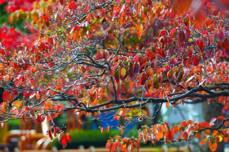 1134__横浜市新羽町_神奈川