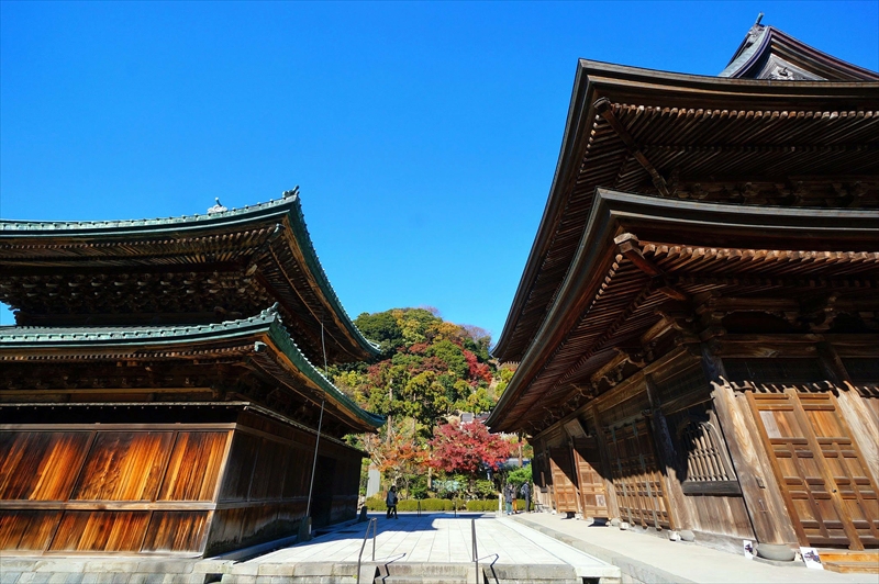 1069_鎌倉円覚寺_神奈川